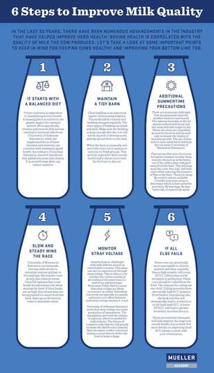 6 Steps to improving milk quality infographic thumbnail