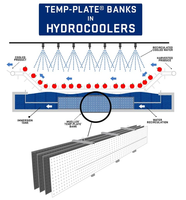 Temp-Plate banks in a hydrocooler infographic